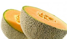 吃狗肉可以吃哈密瓜么,探寻异域美食的奇妙搭配