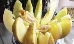 金秋时节吃蜜瓜,甜蜜滋味，尽享丰收时光