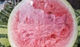 米皮吃瓜,揭秘美食与娱乐的跨界融合