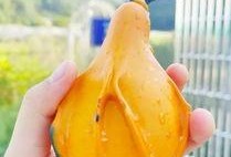 宝妈吃瓜,揭秘娱乐圈那些不为人知的幕后故事