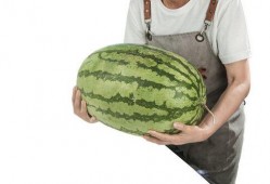 石头瓜如何切块吃