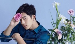 明星理性吃瓜,明星圈幕后真相揭秘