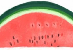 吃瓜名字,揭秘吃瓜群众的趣味人生