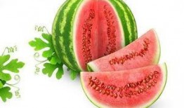 星言蜜瓜怎么吃,解锁夏日清新美味的多重食用指南