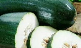 煮瓜吃搞笑,一场别开生面的烹饪喜剧之旅