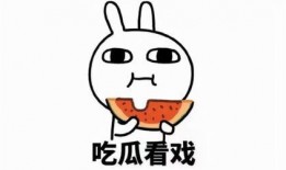 网语吃瓜,揭秘“吃瓜”背后的网络文化现象
