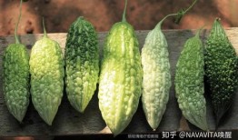 吃pu瓜通便吗,揭秘通便的秘密武器”