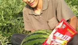 河北铺妯娌吃瓜解析,揭秘邻里间的欢乐与矛盾