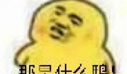 拼命吃瓜表情包,揭秘“拼命吃瓜”表情包的火爆背后