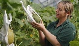 吃瓜村妇图片,揭秘乡村生活的酸甜苦辣