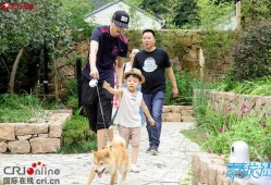 耿直的吃瓜,揭秘娱乐圈那些不为人知的幕后故事