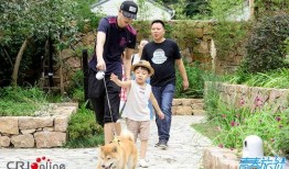 耿直的吃瓜,揭秘娱乐圈那些不为人知的幕后故事