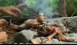 荒野屠夫吃瓜,揭秘野外生存的趣味瞬间