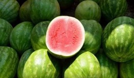 玩西瓜吃瓜呢,吃瓜群众的快乐时光