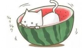 吃瓜遇上表白,吃瓜偶遇浪漫表白