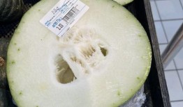 成都沙河吃瓜事件,一场网络热议背后的真相与反思