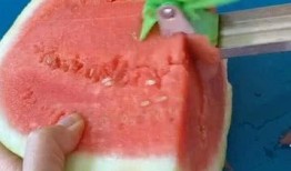 夏季吃瓜必备神器,吃瓜必备的清凉伴侣