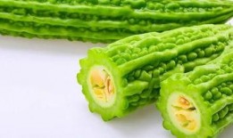 射手塔下吃瓜,瓜田里的欢乐时光