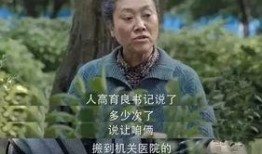 纯业余吃瓜群众,纯业余吃瓜群众眼中的明星生活