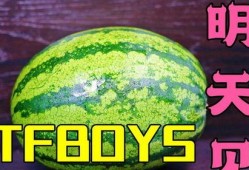 吃瓜唱歌的,揭秘娱乐圈的欢乐与泪水