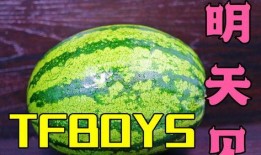 吃瓜唱歌的,揭秘娱乐圈的欢乐与泪水