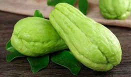 请问这佛手瓜怎么吃,探索美味与健康的完美结合