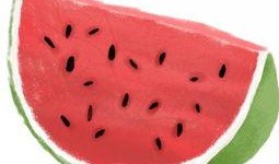 吃瓜的臭瓜皮,臭瓜皮背后的真相与反思