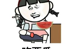 吃瓜本人表情,笑中带泪的社交密码