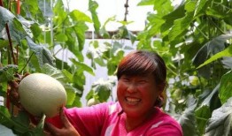 在18楼吃瓜,揭秘都市生活百态