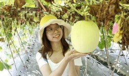 佛山小伙吃瓜视频,揭秘街头美食背后的故事