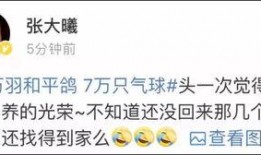 吃瓜的鸽子,吃瓜鸽子的趣味日常