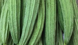 蛇瓜吃货,吃货眼中的独特风味之旅