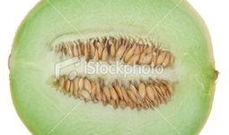 新疆咬着吃的瓜,咬着吃的甜蜜记忆