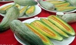 如何吃红色瓜,解锁健康美味新体验