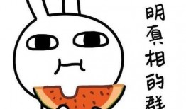 围观吃瓜,揭秘网络热议背后的真相与趣味