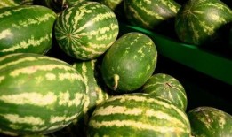 镇远酒店吃瓜事件,一场网络热议背后的真相揭秘