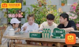 沈老师吃瓜,揭秘娱乐圈幕后故事