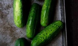 抱着夏天吃瓜,揭秘抱着夏天吃瓜的乐趣