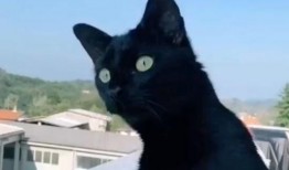 楼上邻居吵架吃瓜,一场吃瓜群众的围观记