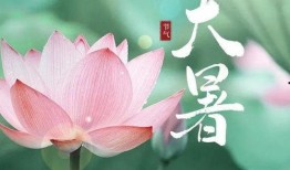 大暑节气吃瓜绘画