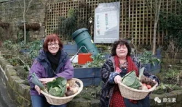 北湖大妈吃瓜事件,一场引发社会热议的网络风波