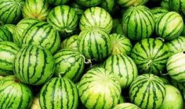 今日吃瓜心得,揭秘娱乐圈幕后真相，带你领略明星们的真实生活