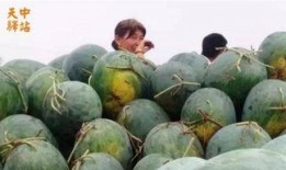 国贸360吃瓜现场