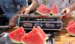 山东吃瓜老师,揭秘校园里的麻辣鲜香趣事