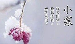 小寒的吃瓜日记,揭秘娱乐圈的甜蜜与苦涩