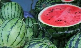 西瓜和姐姐吃瓜,夏日吃瓜欢乐时光