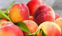 拜神吃瓜,探寻民间信仰与休闲生活的奇妙融合