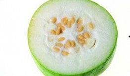 夏季吃三瓜吃什么瓜,西瓜、黄瓜、苦瓜，清凉一夏！