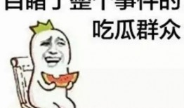 法斗吃瓜群众,揭秘娱乐圈幕后风云