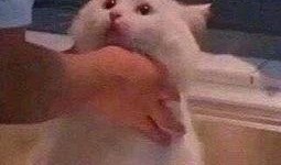 吃瓜群众快变绿,从围观到变绿的奇妙转变